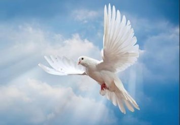 Obituary of Roger Lindsey