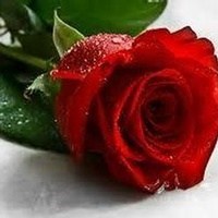 Obituary of Basil S. Lue