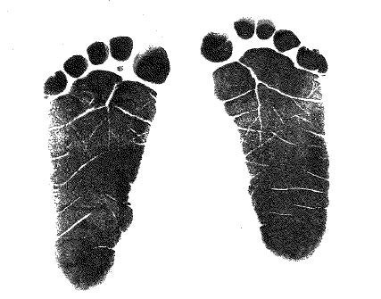 Obituary of Desariana Rodriguez