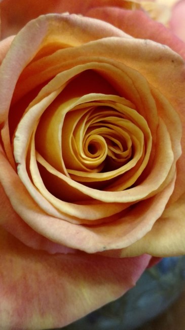 Obituary of Rose Marie Painter