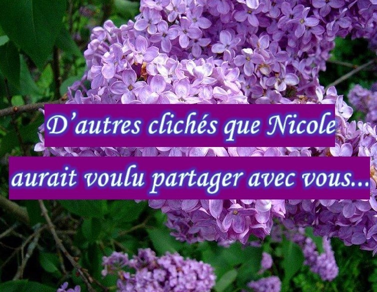 Nicole Binette Lessard Obituary St Eustache Qc