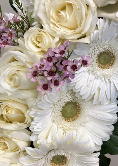 Obituario de Allan Ka Cheung Ling