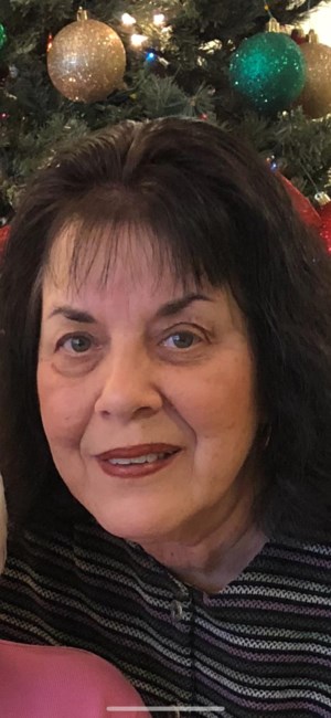 Obituary of Janice S. Jeromin