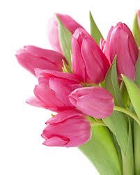 Obituary of Charlene Elam