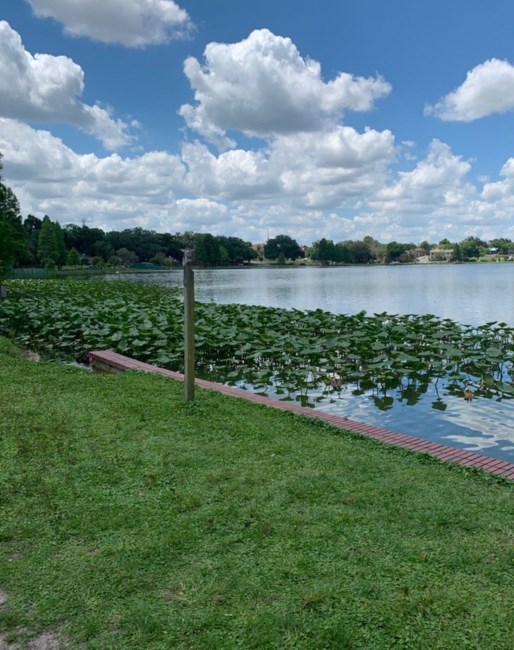 Obituary of Maria Elena Rubio de Rodriguez