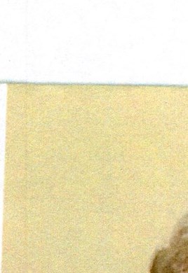Patrick Timothy Fitzgerald Obituary Beverly Hills, FL