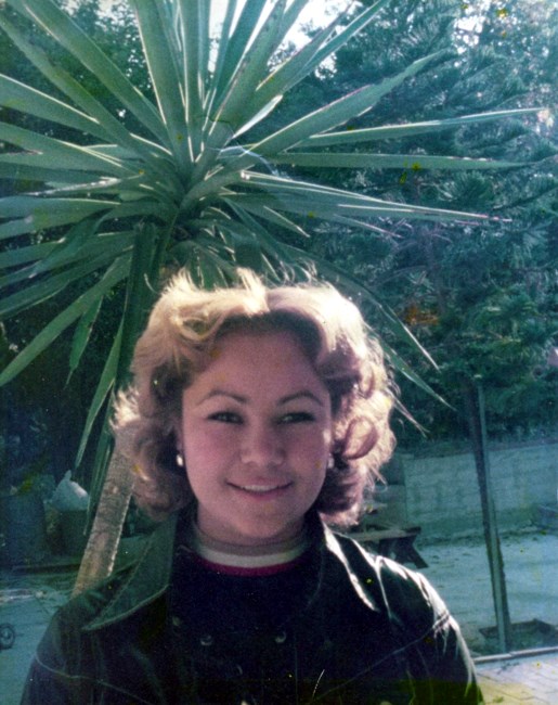 Obituary of Rosalba Castillo