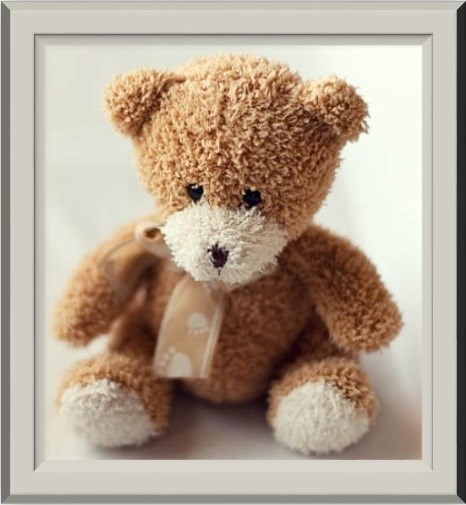 Obituary of Zane Bryant Kennedy