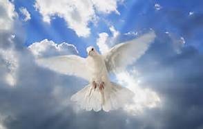 Obituary of James G. Kern