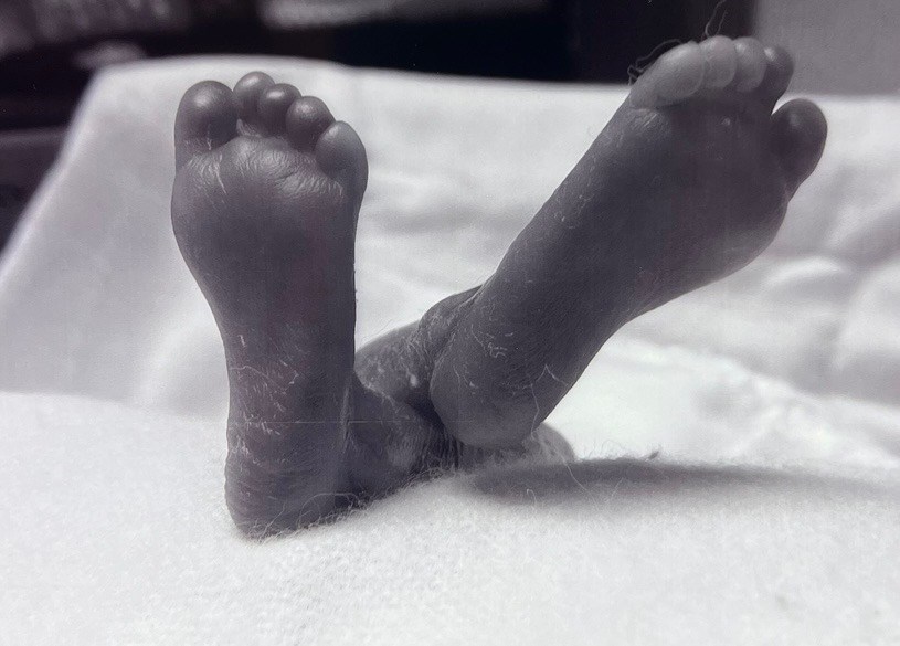 Obituary of Jovie Marie Hebert