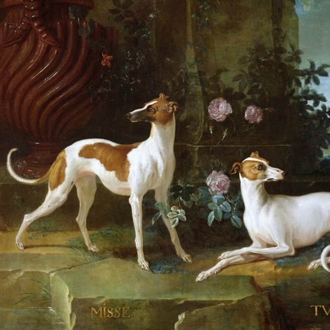 Obituary of Teresa "Teri" M Shaw