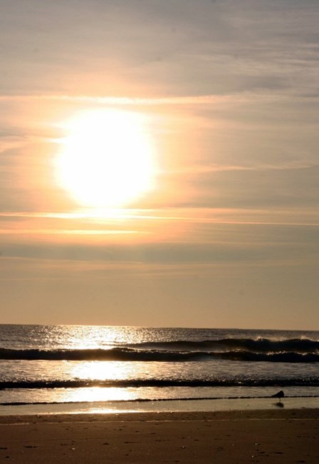 Obituary of Clovis Glenn