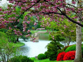 Avis de décès de Linda Lee Hardy