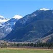 Obituary of Stella Mae Woods