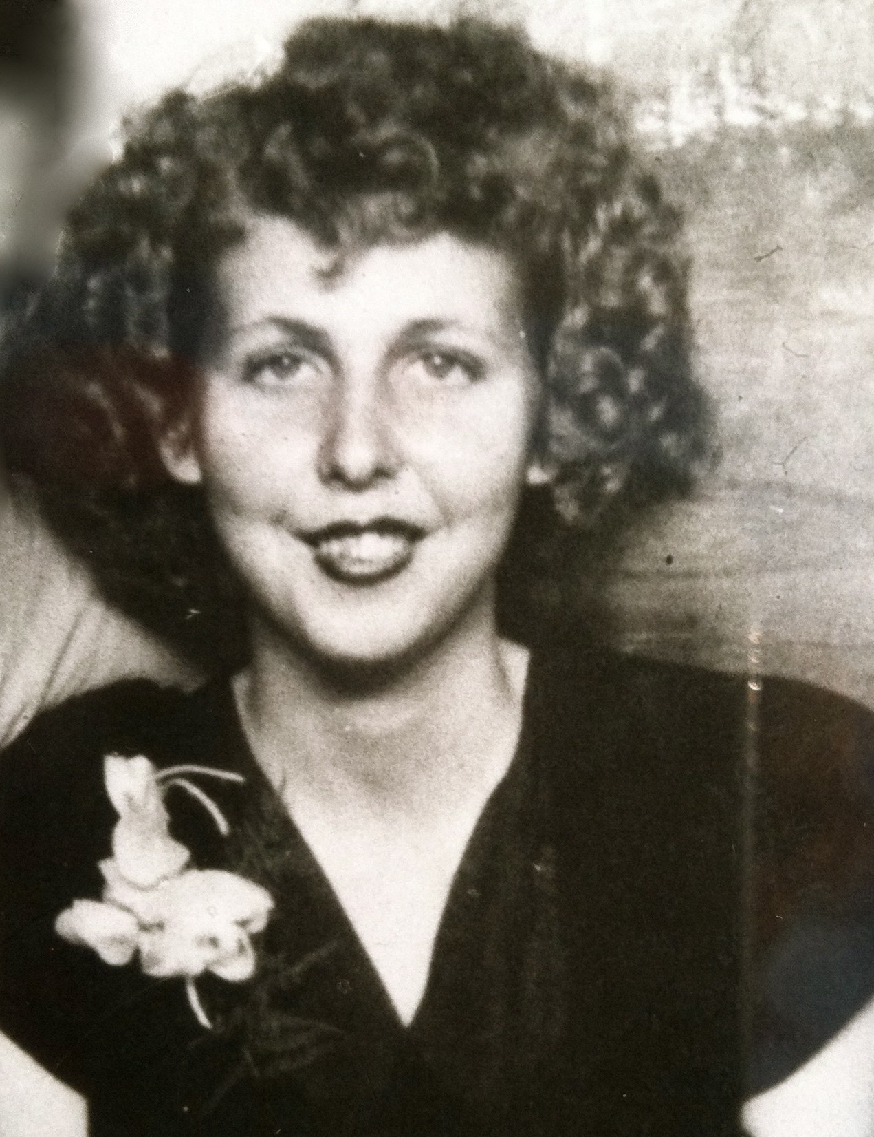 Jean Williams Obituary Evansville, IN