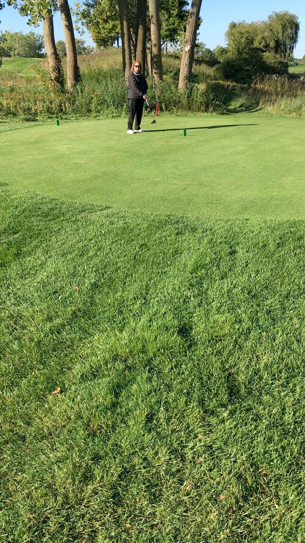 Obituary of Nancy Gail Teer