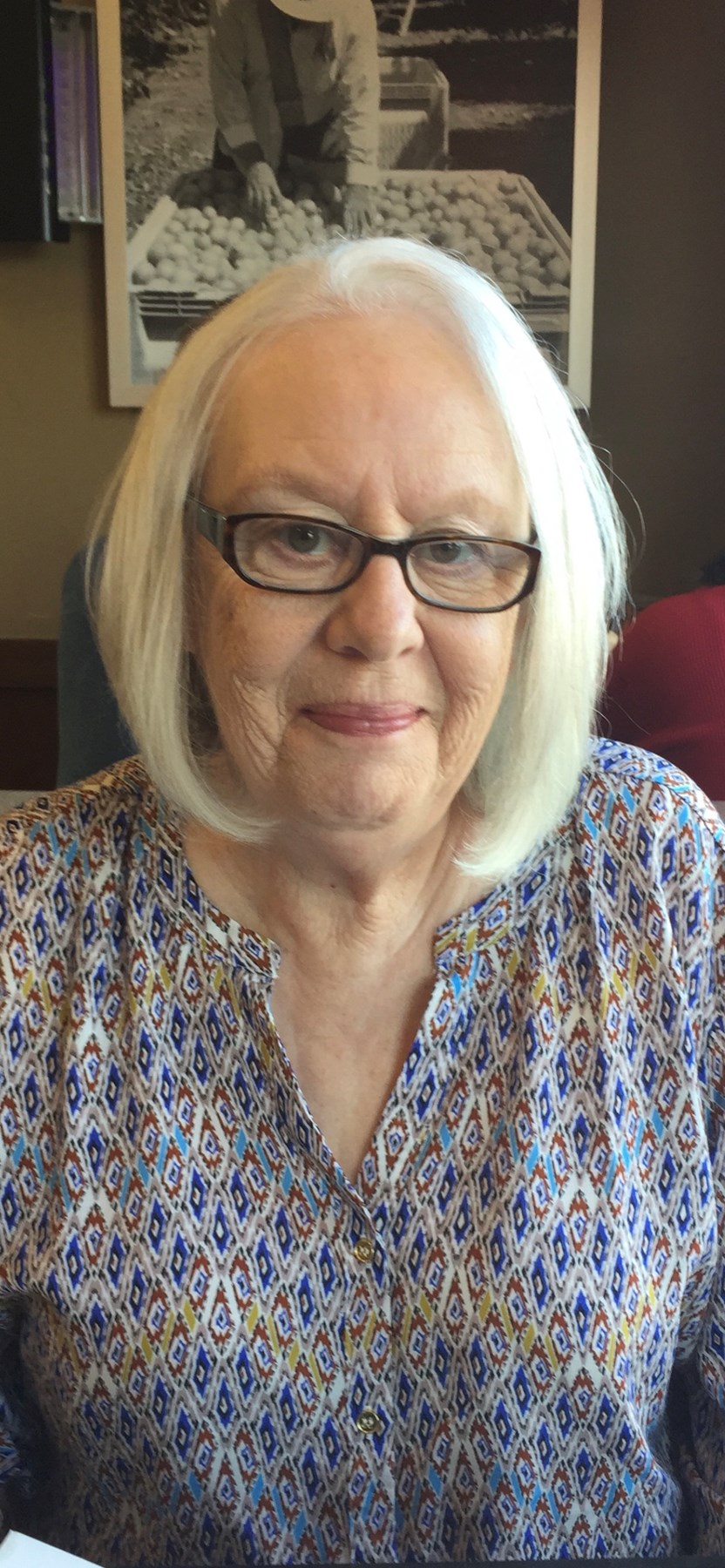 Obituary of Nancy Lee (Stephens) Hedrick