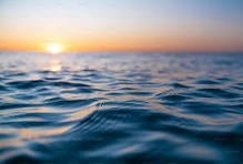 Obituary of Gail Wendy Nickerson