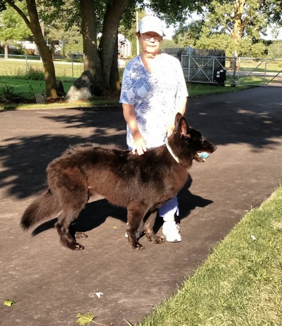 Obituario de Colleen Rae Miller