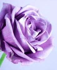 Obituary of Florence Murray Kirk