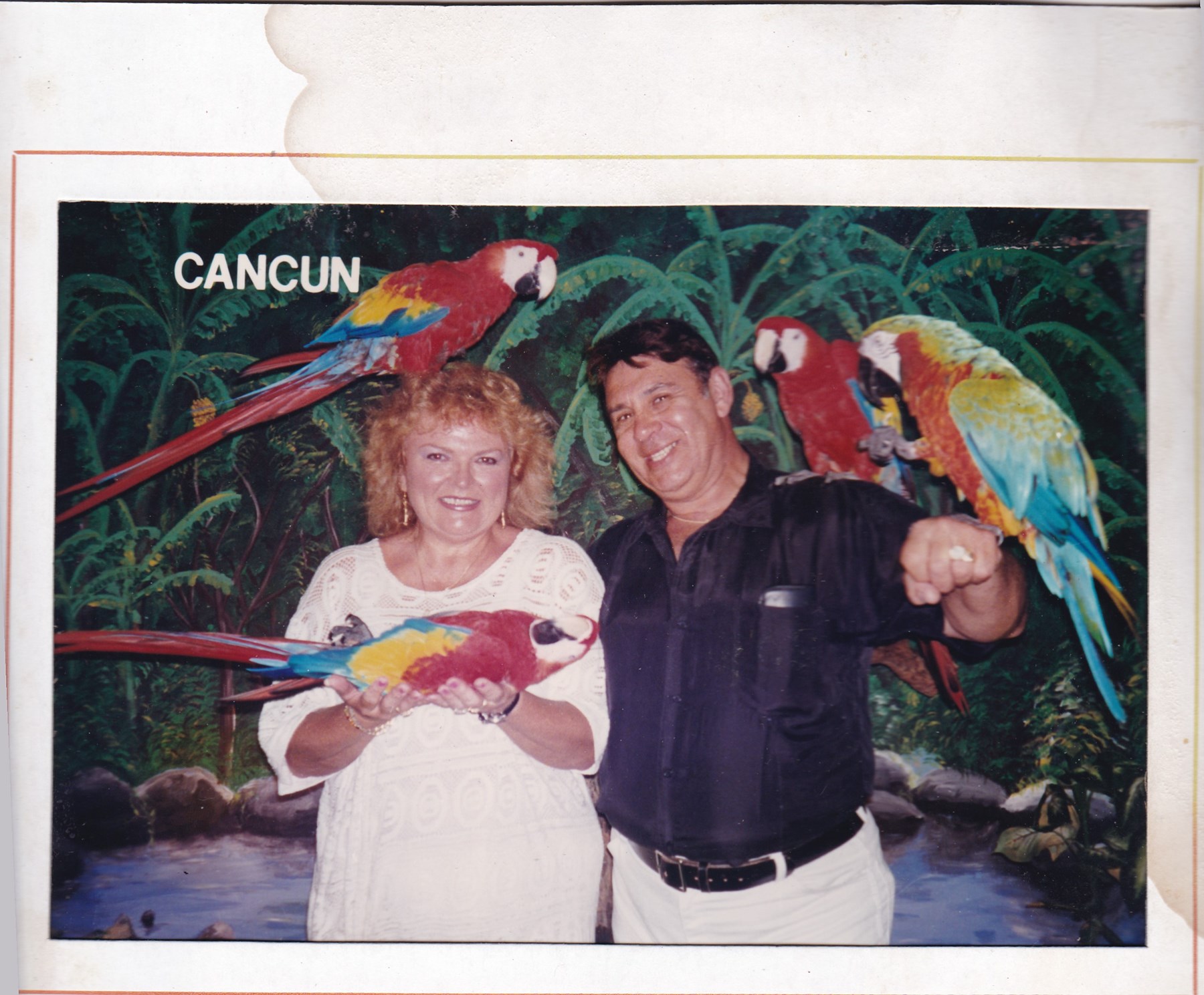 Obituary of Lillian Joan Albamonte