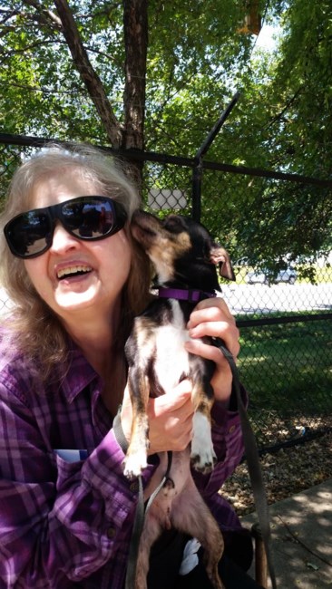 Obituary of Leona Lawhorn Greer