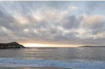 Obituary of Tomislav Basic