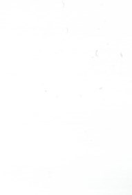 Elizabeth Williams Obituary - North Charleston, SC