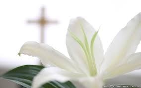 Obituary of Dorothy M. Skwarek