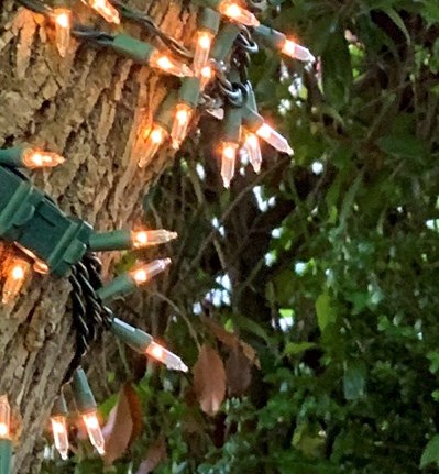 David Allen Obituary - Overland Park, KS