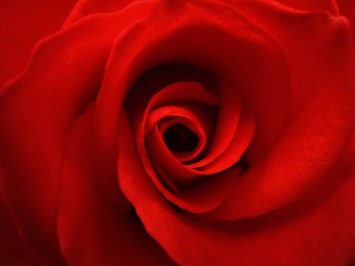 Obituary of Olive Louise Hof