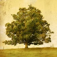 Obituary of Charles R. Campbell, Jr.