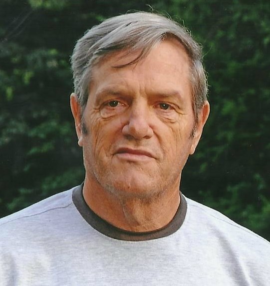 Obituary of David Homer Ray Holmes