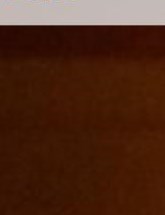 Burger Obituary Warren, MI