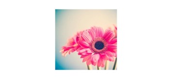 Obituary of Patricia M Mueller