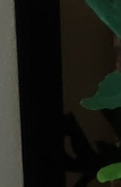 Thomas Linehan Obituary Irving, TX