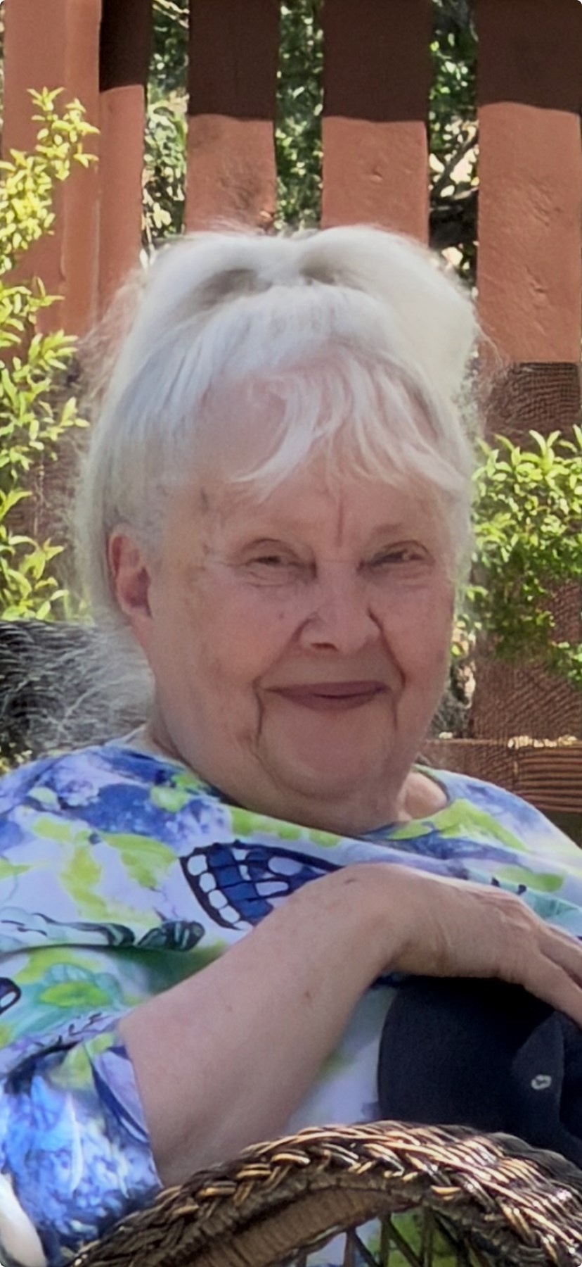 Obituary of Elaine Anna McNulty
