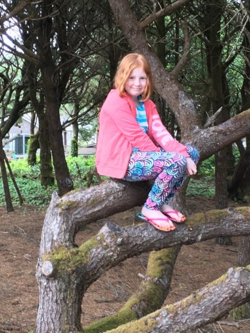 Obituary of Kaylie Eileen Baughman