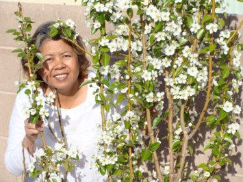 Obituary of Vannavy Nov