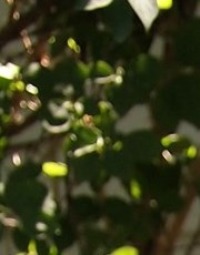 Ramona Parker Obituary Ft. Collins, CO