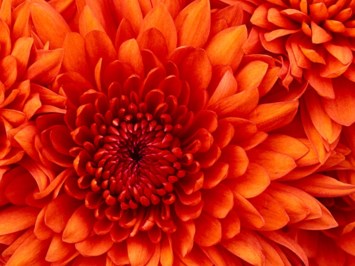 Obituary of Esther Pinsky
