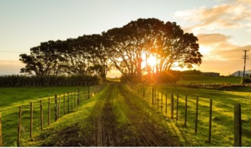 Obituario de Robert Ernest Young