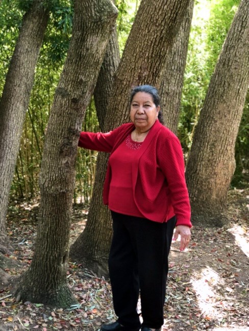 Obituary of Siria Sanchez