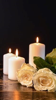 Obituary of William Walter Gibbins
