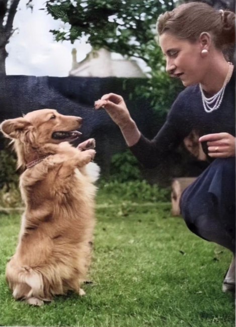 Obituary of Joy Gertrude Conway