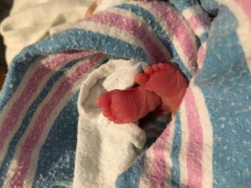 Obituary of Alexandra Rose Thomas