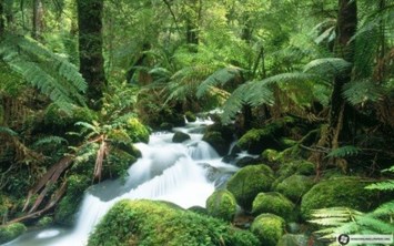 Obituary of David J Edison