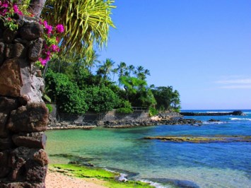 Obituary of William H Guidotti