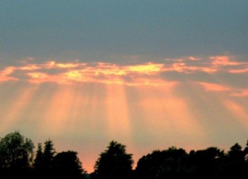 Obituary of Marian Louise Magna
