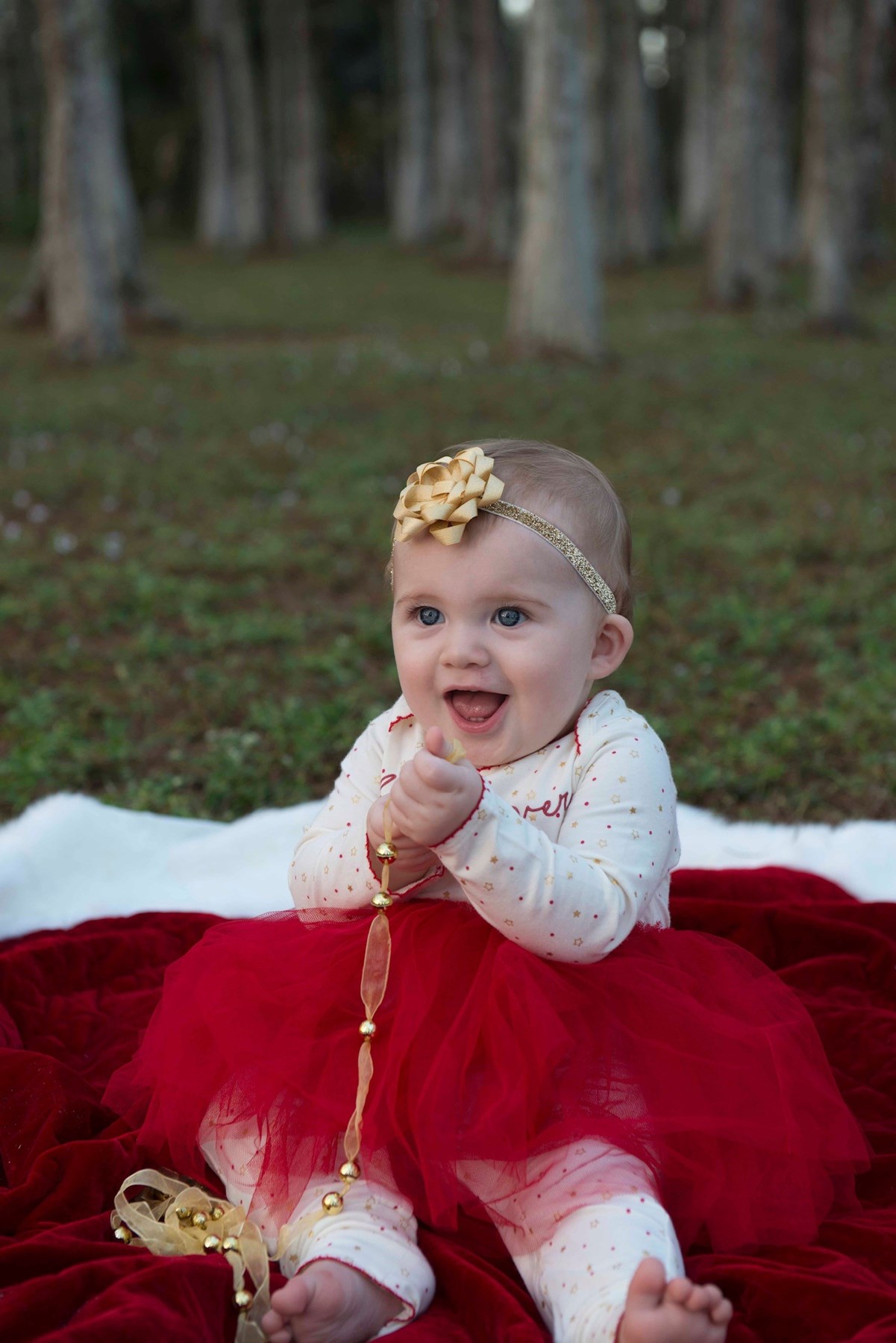 Obituary of Lana Grace Mercer